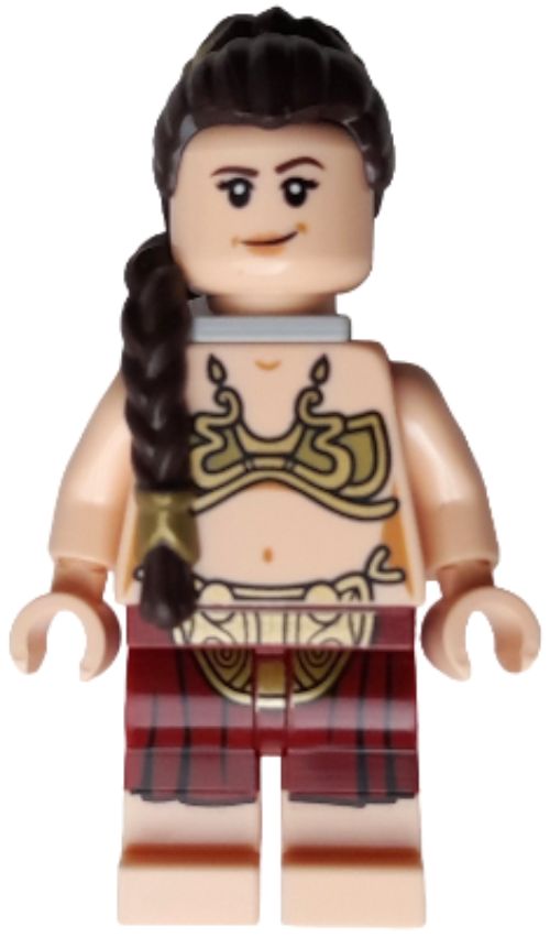 Minifig sw1389