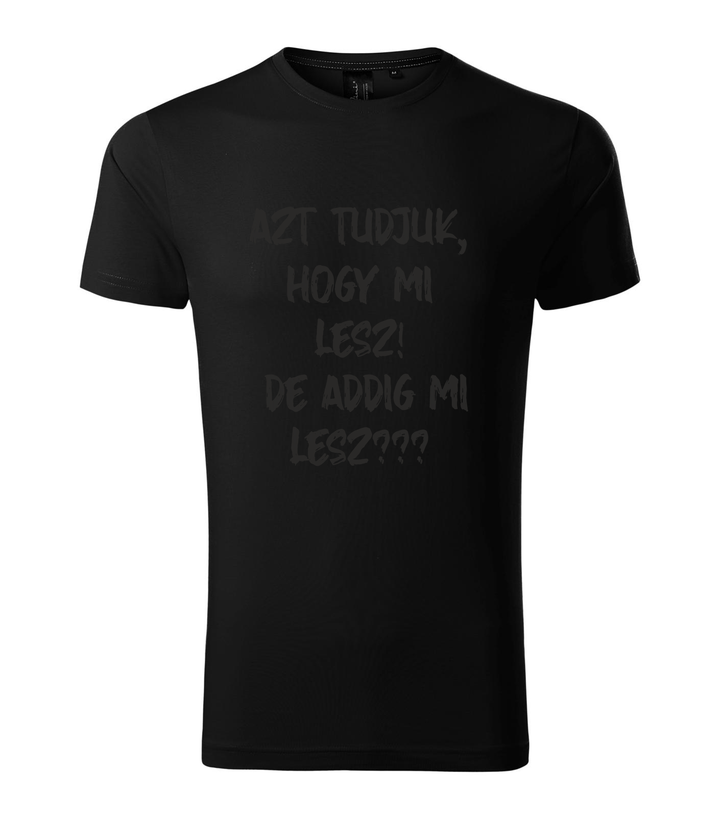 Azt tudjuk, hogy mi lesz! De addig mi lesz? - Prémium férfi póló fekete