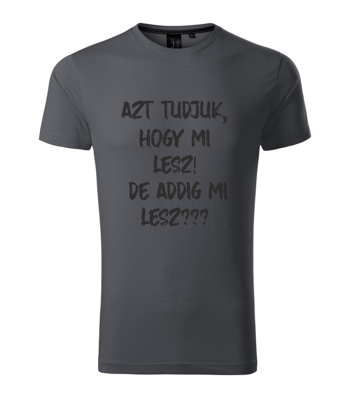 Azt tudjuk, hogy mi lesz! De addig mi lesz? - Prémium férfi póló világos anthracite