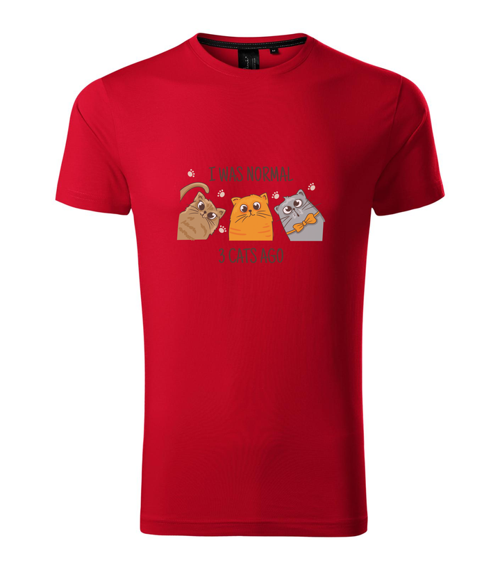 I was normal 3 cats ago - Prémium férfi póló F1 piros