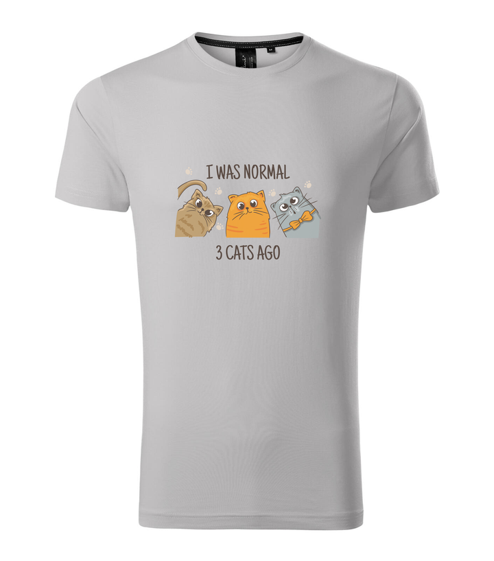 I was normal 3 cats ago - Prémium férfi póló ezüstszürke