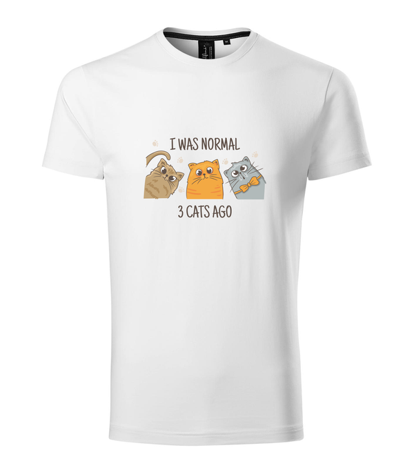 I was normal 3 cats ago - Prémium férfi póló fehér