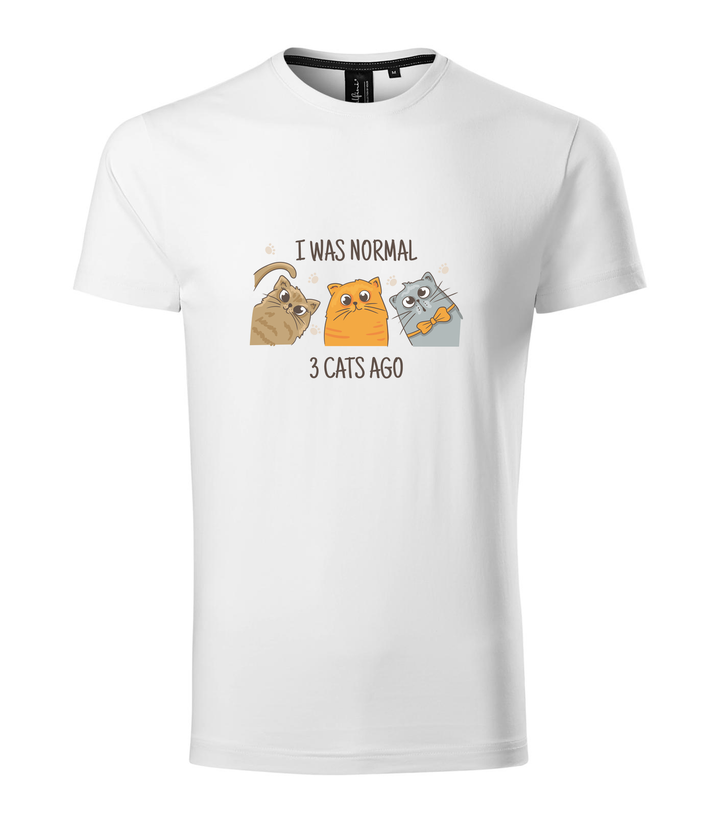 I was normal 3 cats ago - Prémium férfi póló fehér