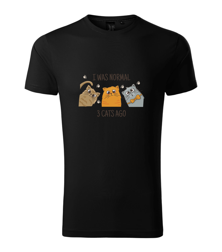 I was normal 3 cats ago - Prémium férfi póló fekete