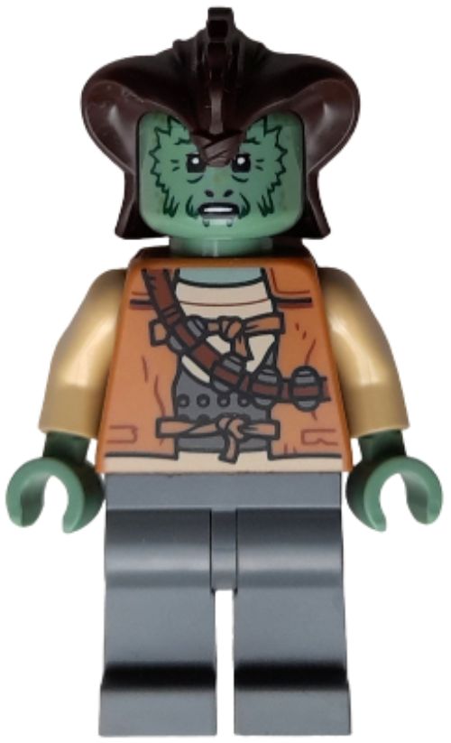 Minifig sw1384